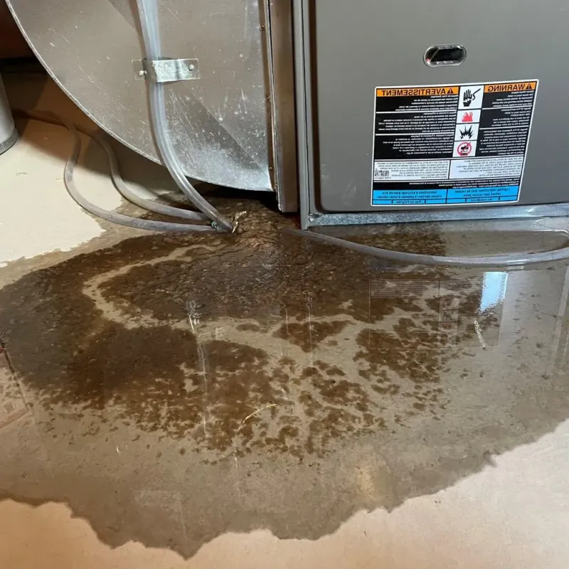 Pipe Burst and Leak Restoration in Harrison, OH
